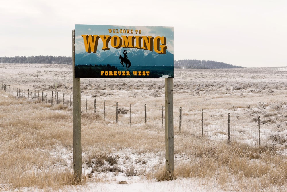 Wyoming'de Şirket Kurmak 2 Wyoming'de Şirket Kurmanın Avantajları