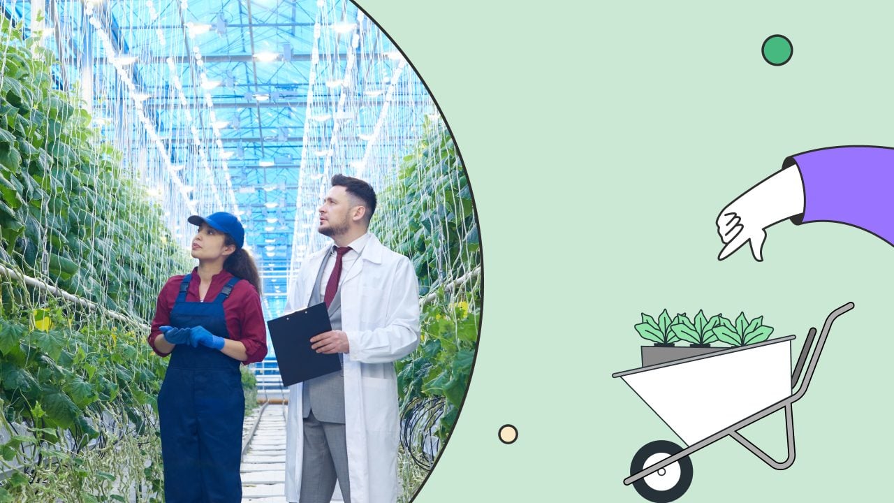 Tarım Şirketi Kurmak Hakkında Bilmeniz Gerekenler