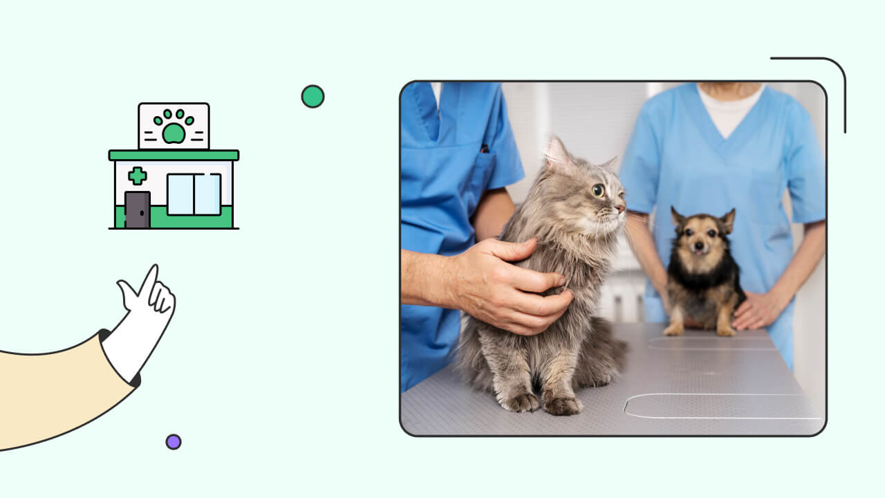Veteriner Kliniği Açmak Hakkında Bilmeniz Gerekenler